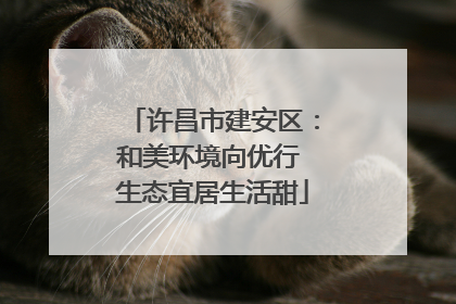 许昌市建安区：和美环境向优行 生态宜居生活甜