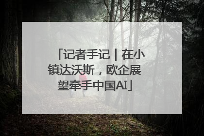 记者手记｜在小镇达沃斯，欧企展望牵手中国AI