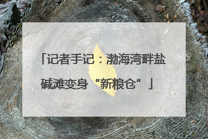 记者手记：渤海湾畔盐碱滩变身“新粮仓”