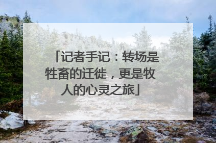 记者手记：转场是牲畜的迁徙，更是牧人的心灵之旅