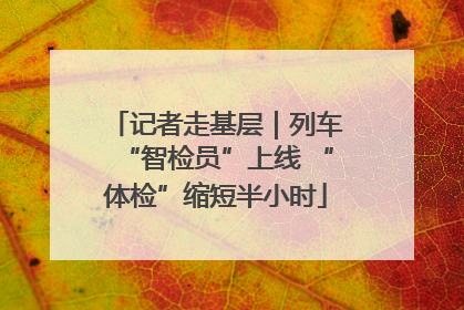 记者走基层｜列车“智检员”上线 “体检”缩短半小时