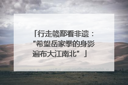 行走赣鄱看非遗：“希望岳家拳的身影遍布大江南北”