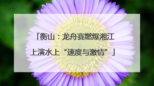 衡山：龙舟赛燃爆湘江 上演水上“速度与激情”