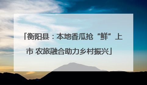 衡阳县：本地香瓜抢“鲜”上市 农旅融合助力乡村振兴