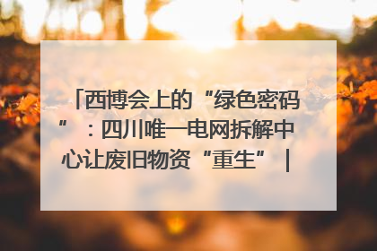 西博会上的“绿色密码”：四川唯一电网拆解中心让废旧物资“重生”｜西博寻“新”记