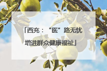 西充：“医”路无忧 增进群众健康福祉