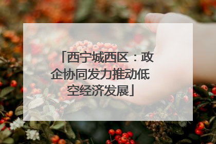 西宁城西区：政企协同发力推动低空经济发展
