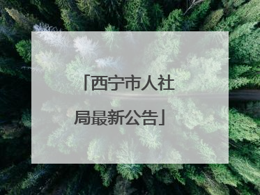 西宁市人社局最新公告