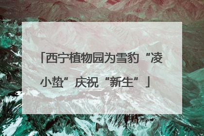 西宁植物园为雪豹“凌小蛰”庆祝“新生”