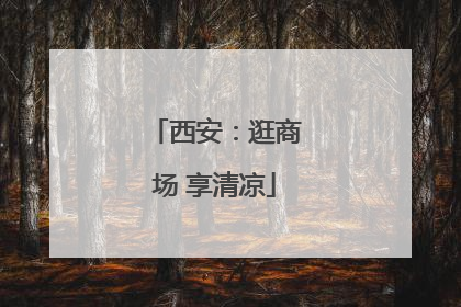 西安：逛商场 享清凉