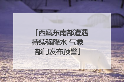 西藏东南部遭遇持续强降水 气象部门发布预警