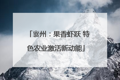 襄州：果香虾跃 特色农业激活新动能