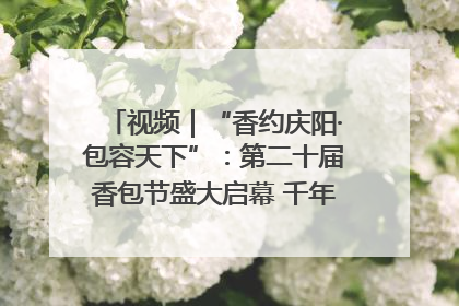 视频｜“香约庆阳·包容天下”：第二十届香包节盛大启幕 千年非遗香飘世界