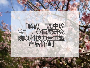 解码 “鹿中珍宝”：尊禧鹿研究院以科技力量重塑产品价值