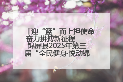 迎“篮”而上担使命 奋力拼搏新征程——锦屏县2025年第三届“全民健身·悦动锦屏”篮球赛圆满闭幕