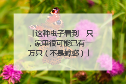 这种虫子看到一只，家里很可能已有一万只（不是蟑螂）