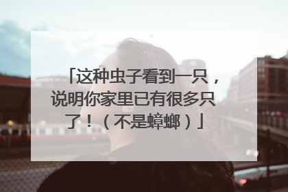 这种虫子看到一只，说明你家里已有很多只了！（不是蟑螂）