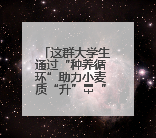 这群大学生通过“种养循环”助力小麦质“升”量“高”