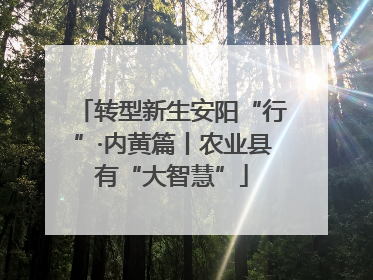 转型新生安阳“行”·内黄篇丨农业县有“大智慧”