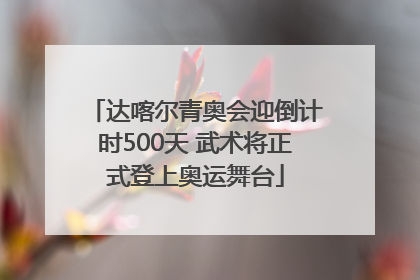 达喀尔青奥会迎倒计时500天 武术将正式登上奥运舞台