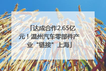 达成合作2.65亿元！温州汽车零部件产业“链接”上海