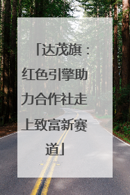 达茂旗：红色引擎助力合作社走上致富新赛道