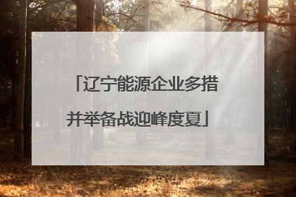 辽宁能源企业多措并举备战迎峰度夏
