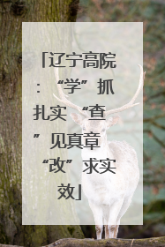 辽宁高院：“学”抓扎实 “查”见真章 “改”求实效