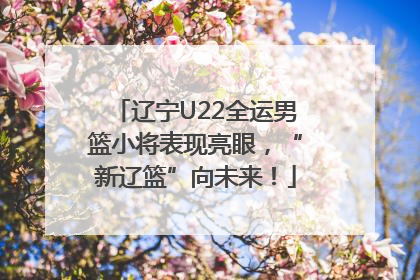 辽宁U22全运男篮小将表现亮眼，“新辽篮”向未来！