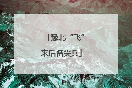 豫北“飞”来后备尖兵