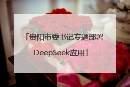 贵阳市委书记专题部署DeepSeek应用