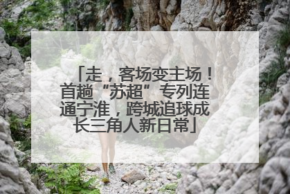 走，客场变主场！首趟“苏超”专列连通宁淮，跨城追球成长三角人新日常
