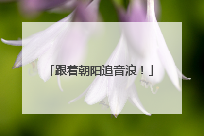 跟着朝阳追音浪！