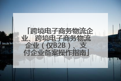 跨境电子商务物流企业、跨境电子商务物流企业（仅B2B）、支付企业备案操作指南