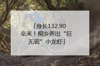 身长132.90毫米！桐乡养出“巨无霸”小龙虾