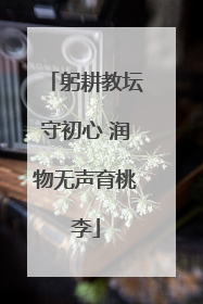 躬耕教坛守初心 润物无声育桃李
