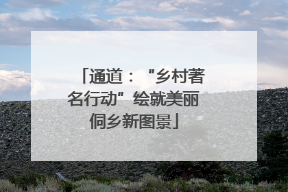 通道：“乡村著名行动”绘就美丽侗乡新图景
