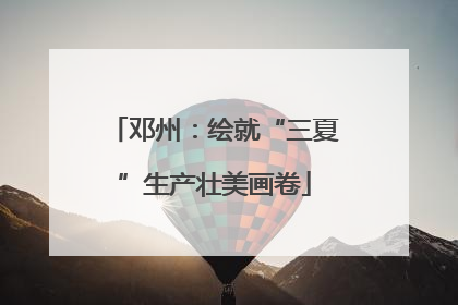 邓州：绘就“三夏”生产壮美画卷