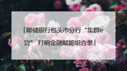 邮储银行包头市分行“集群e贷” 打响金融赋能组合拳