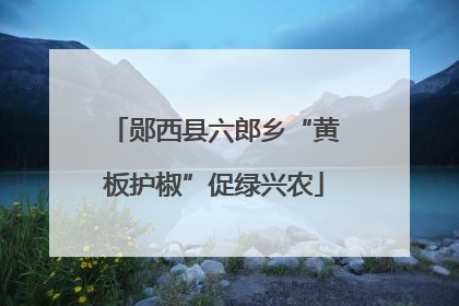 郧西县六郎乡“黄板护椒”促绿兴农