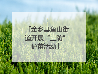 金乡县鱼山街道开展“三防”护苗活动