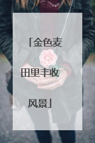 金色麦田里丰收风景