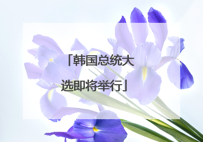 韩国总统大选即将举行