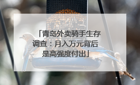 青岛外卖骑手生存调查：月入万元背后是高强度付出