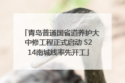 青岛普通国省道养护大中修工程正式启动 S214南城线率先开工