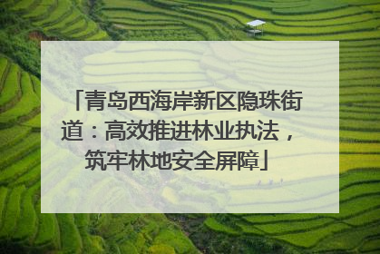 青岛西海岸新区隐珠街道：高效推进林业执法，筑牢林地安全屏障