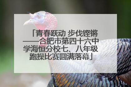 青春跃动 步伐铿锵——合肥市第四十六中学海恒分校七、八年级跑操比赛圆满落幕