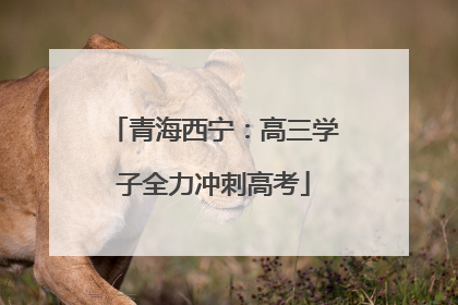 青海西宁：高三学子全力冲刺高考