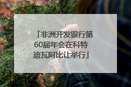 非洲开发银行第60届年会在科特迪瓦阿比让举行