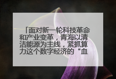 面对新一轮科技革命和产业变革，青海以清洁能源为主线，紧抓算力这个数字经济的“血液”、科技主权的“筹码”、产业升级的“杠杆”、绿色转型的“支点”，勇于撬动国家“双碳”战略、“东数西算”工程重大发展新机遇，点亮绿色算电协同新赛道，蹚出一条符合本地实际的高质量发展之路——青海：“绿色算力” 锚定“东数西算”国家战略布局